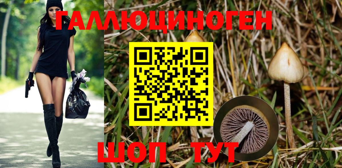 Галлюциногенные грибы прущие грибы  Вход с VPN  Псилоцибиновые грибы мухоморы  Краснокаменск 