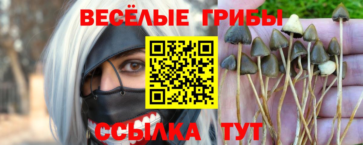 Краснокаменск  Канабис  ГАШИШ  Мефедрон   А ПВП СК кристаллы  ЭКСТАЗИ  Вход с VPN  МЕФ  Кокаин 