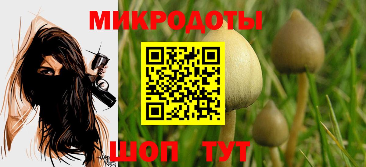 Галлюциногенные грибы ЛСД Краснокаменск